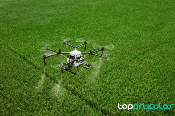 dron para agricultura