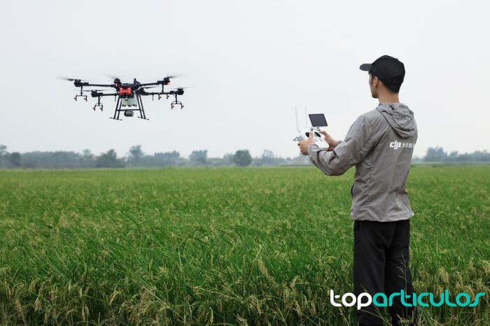Drones para la agricultura: Todo lo que debes saber