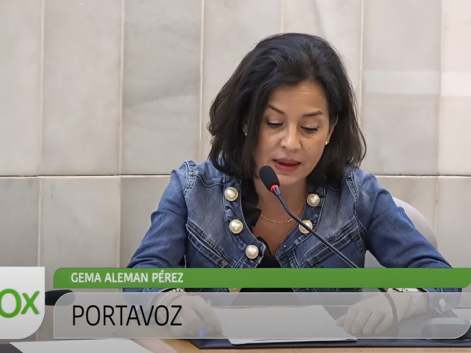 VOX lanza una ofensiva en Alicante contra el apagón eléctrico y pone contra las cuerdas al Gobierno por su política energética