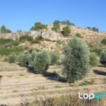 El Congreso dictamina la reforma para regular los grupos de interés finca agrícola en Caspe durante una investigación policial