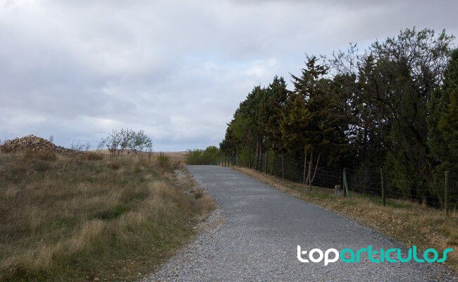 carretera rural en un entorno agrícola español
