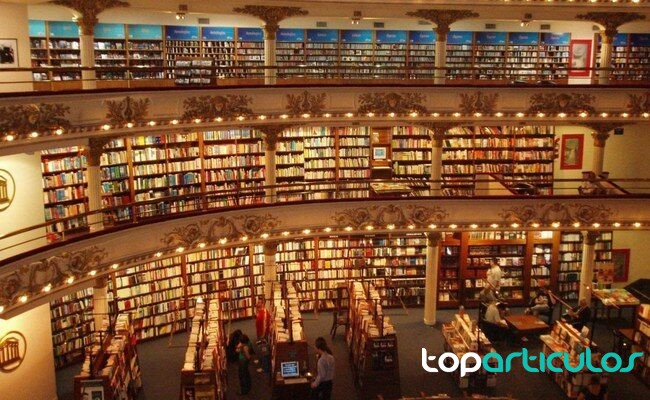 Lectura compartida en un espacio cómodo antes de una conversación personas leyendo libros en una cafetería