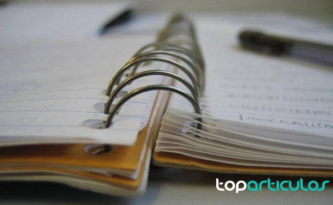 Notas de lectura para preparar preguntas y comentarios cuaderno con notas junto a una novela