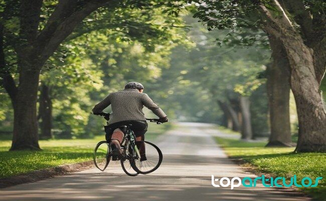 Paseo suave en bicicleta por un camino arbolado bicicleta tranquila como descanso activo