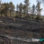 Compostaje doméstico para huerto: qué echar, qué evitar y cómo empezar zona forestal quemada en Almorox tras un incendio en Toledo