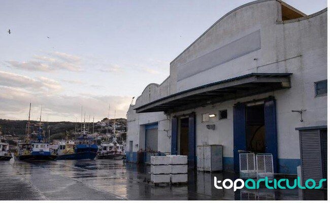 Detenidos dos hombres por vender pescado robado con restos de medicamentos lonja de pescado en un puerto mediterráneo durante una investigación alimentaria