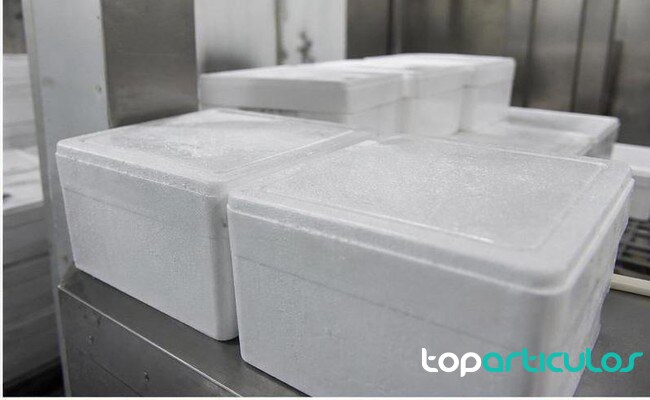 Cajas de pescado inmovilizadas como recurso documental cajas de pescado precintadas en una zona de inspección refrigerada