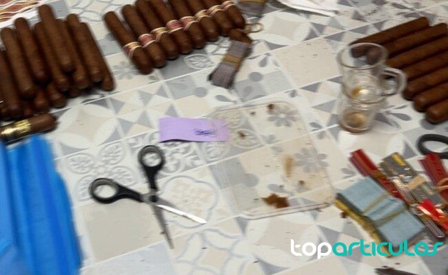 puros sin marca y bandas de papel neutras sobre una mesa de inspección