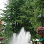 España conquista el Mundial 2026 tras derrotar a Argentina en la prórroga refugios climáticos urbanos con sombra y árboles
