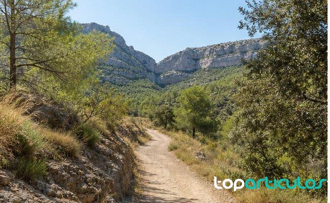 ruta de senderismo cerca de un destino rural