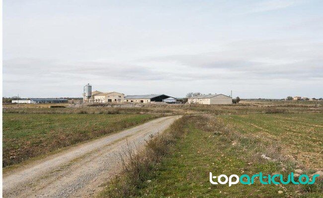 Entorno rural de La Moraña utilizado como contexto informativo carretera rural en la comarca abulense de La Moraña