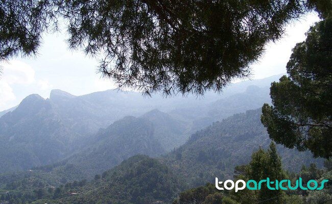 paisaje visto desde una ruta ferroviaria española