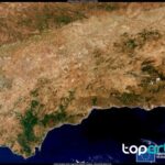 cubiertas vegetales en olivar y viñedo
