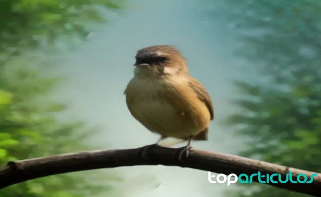 Ave pequeña posada en una rama dentro de un parque de ciudad aves comunes en parques urbanos