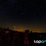 Cubiertas vegetales en olivar y viñedo: ventajas, cuidados y errores comunes turismo astronómico en España