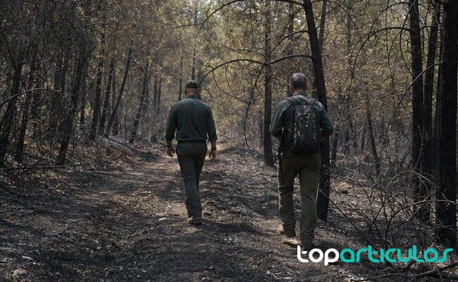 Trabajo de campo en una zona vinculada a redes transnacionales inspectores recorren una zona remota durante una investigación